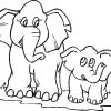 Elephant Coloring Pages