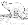 Polar Bear Coloring Pages
