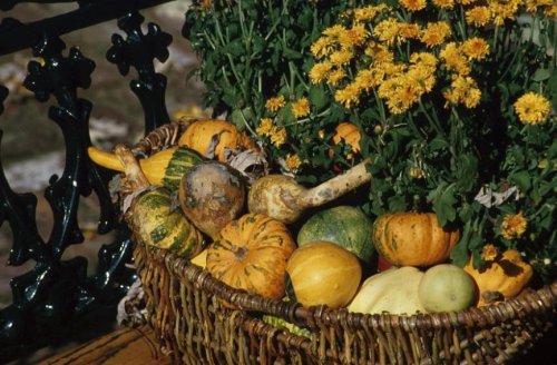Thanksgiving