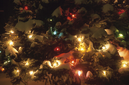 ChristmasLights