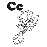 C is for Celery Root