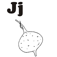 J is for Jicama