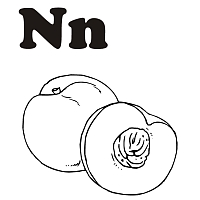 N is for Nectarine