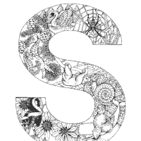 Animal and Plant Alphabet, Letter S