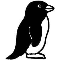 Antarctic Penguin