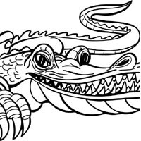 Artistic Alligator