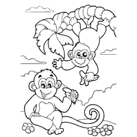 Bananas for Monkeys