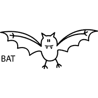 CVC Bat