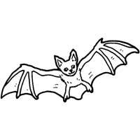 Bat Wings » Coloring Pages » Surfnetkids