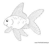 Fish and Marine Mammals » Page 5 of 5 » Coloring Pages » Surfnetkids