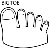 BiG ToE