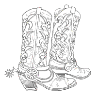 Boots with Spurs