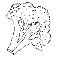 Broccoli Spear