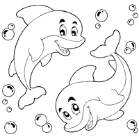 Bubbly Dolphin