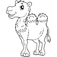 Download Desert Animals » Coloring Pages » Surfnetkids