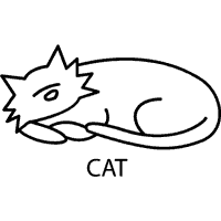 Cat CVC