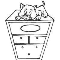 Kitten on Dresser