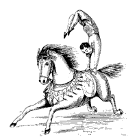 Circus Horse and Rider
