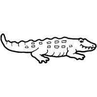Cordial Crocodile