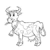 Cow Wearing Bell