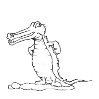 Crocodile Standing