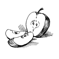 Cut Apple