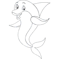 Darling Dolphin