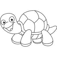 Excited Turtle