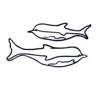 Download Marine Mammals, Whales » Coloring Pages » Surfnetkids