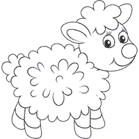 Fluffy Baby Sheep