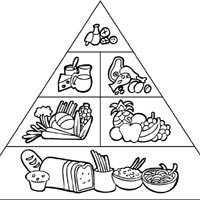 Food Pyramid Coloring Pages Surfnetkids