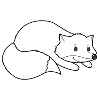 Fox’s Tail