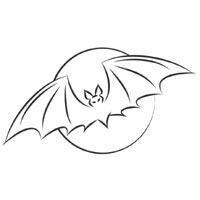 Full Bat Moon