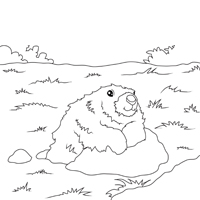 Fuzzy Groundhog