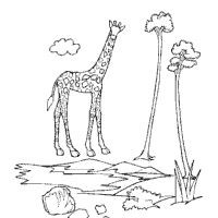 Giraffe with Trees
