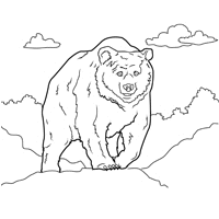 Bear » Page 2 of 2 » Coloring Pages » Surfnetkids