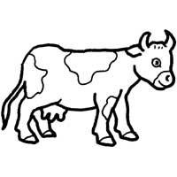 Happy Holstein