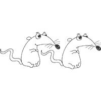 Happy Rat, Sad Rat