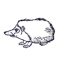 Hedgehog 3