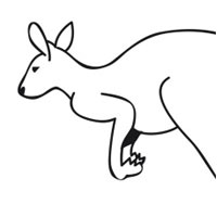 Jumping Kangaroo