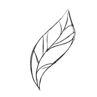 Leaf 4