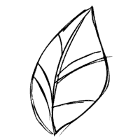 Leaf 6