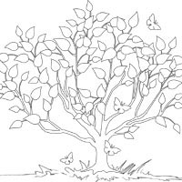 Leafy Tree