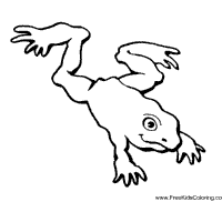 Leaping Frog