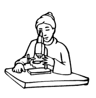 Researcher Using Microscope