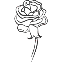Ornamental Rose
