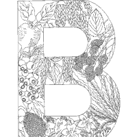 Plant Alphabet, Letter B