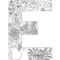 Plant Alphabet, Letter E