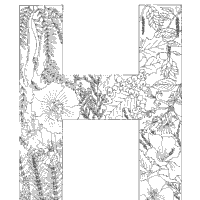 Plant Alphabet, Letter H