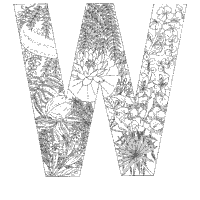 Plant Alphabet, Letter W